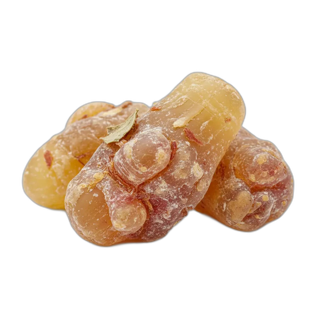 Boswellia serrata — augalas, kuris gali padėti pasiekti geresnį savijautą.